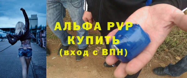 винт Алзамай