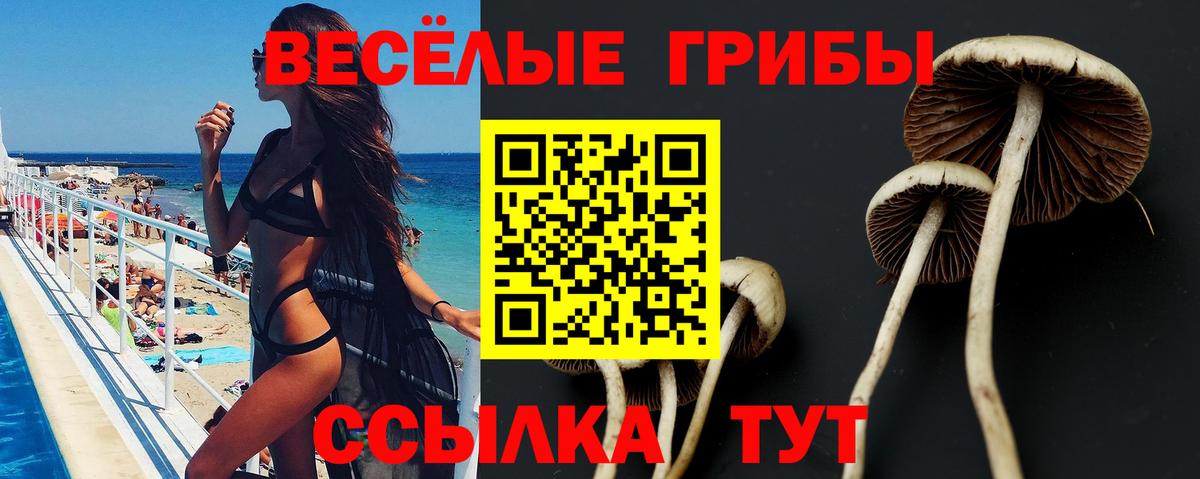 Галлюциногенные грибы Cubensis Урюпинск